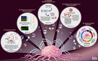 Editorial: New strategies to tackle chemoresistance in cancer